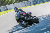 Lower Group Black Bikes